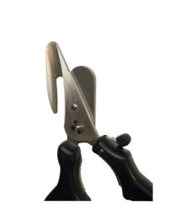 CISEAUX A CRUSTACES -Buyer Boutique ciseaux a crustaces 1